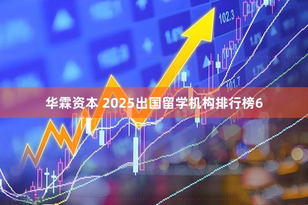 华霖资本 2025出国留学机构排行榜6